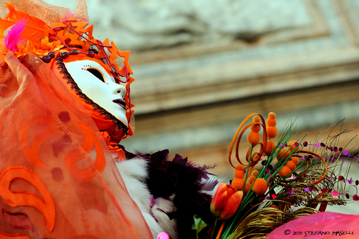 Copyright Stefano Maselli
